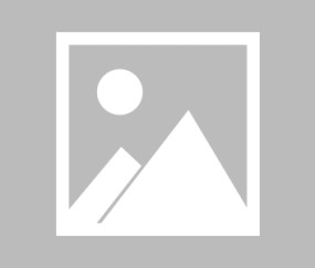 包含布鲁克林篮网发布备战花絮，赛前远射贴柱，全明星赛任务艰巨，数据趋势出现新变化的词条-乐动娱乐网站