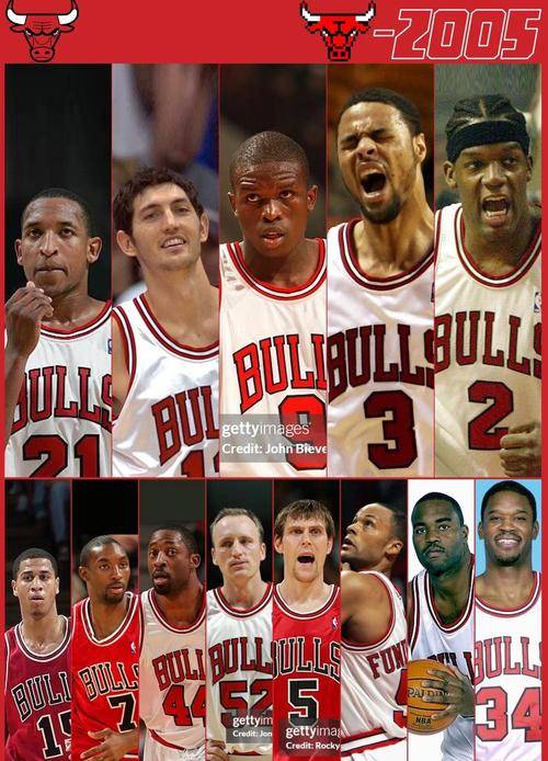 芝加哥公牛队图片