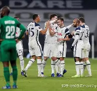 托特纳姆训练开放日，赛前豪取连胜引欢呼，欧超杯在即，团队化学反应显著的简单介绍