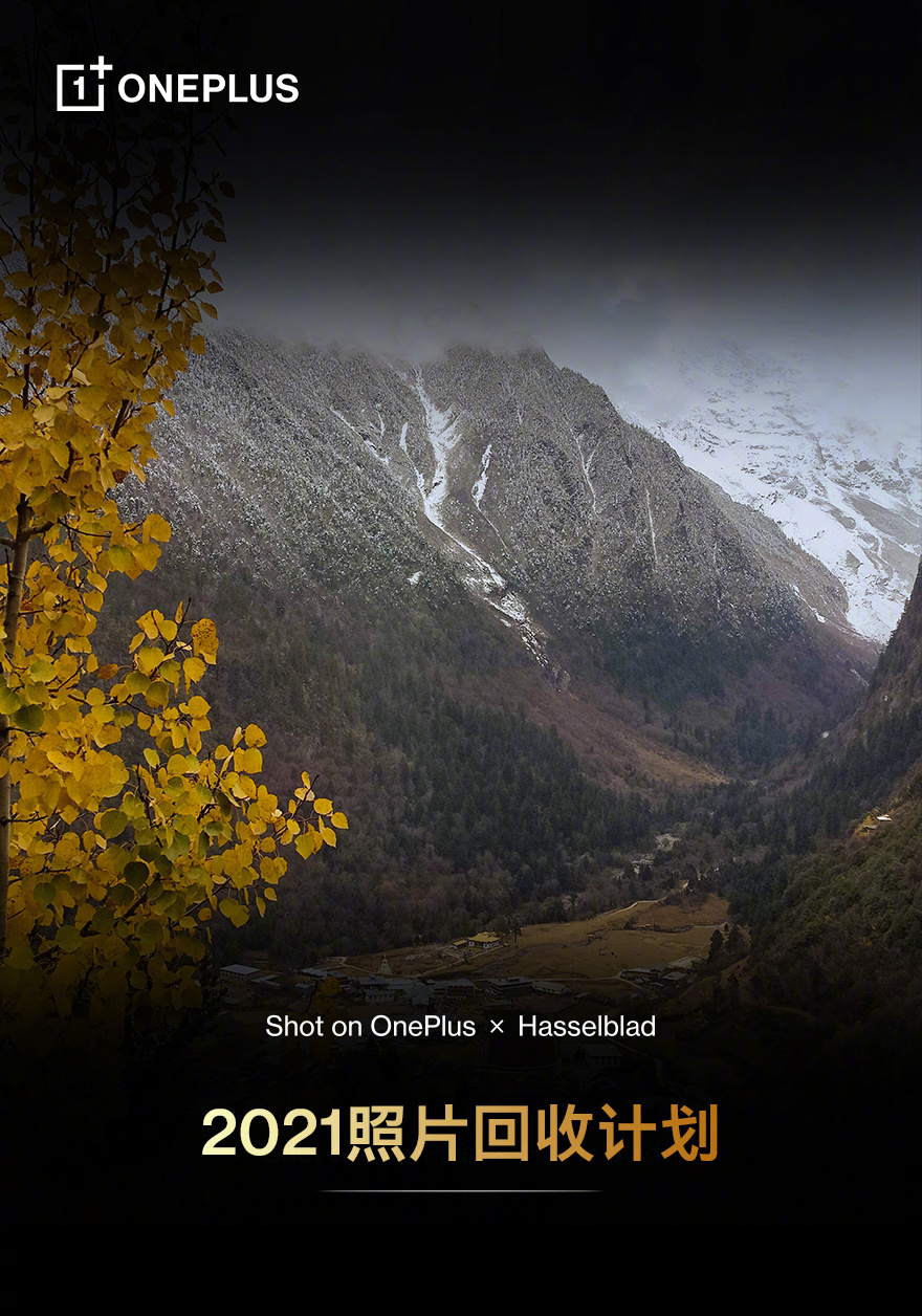 集结日突围战来临，阿斯顿维拉围绕亚冠更衣室发声，话题不断，控场能力受关注的简单介绍